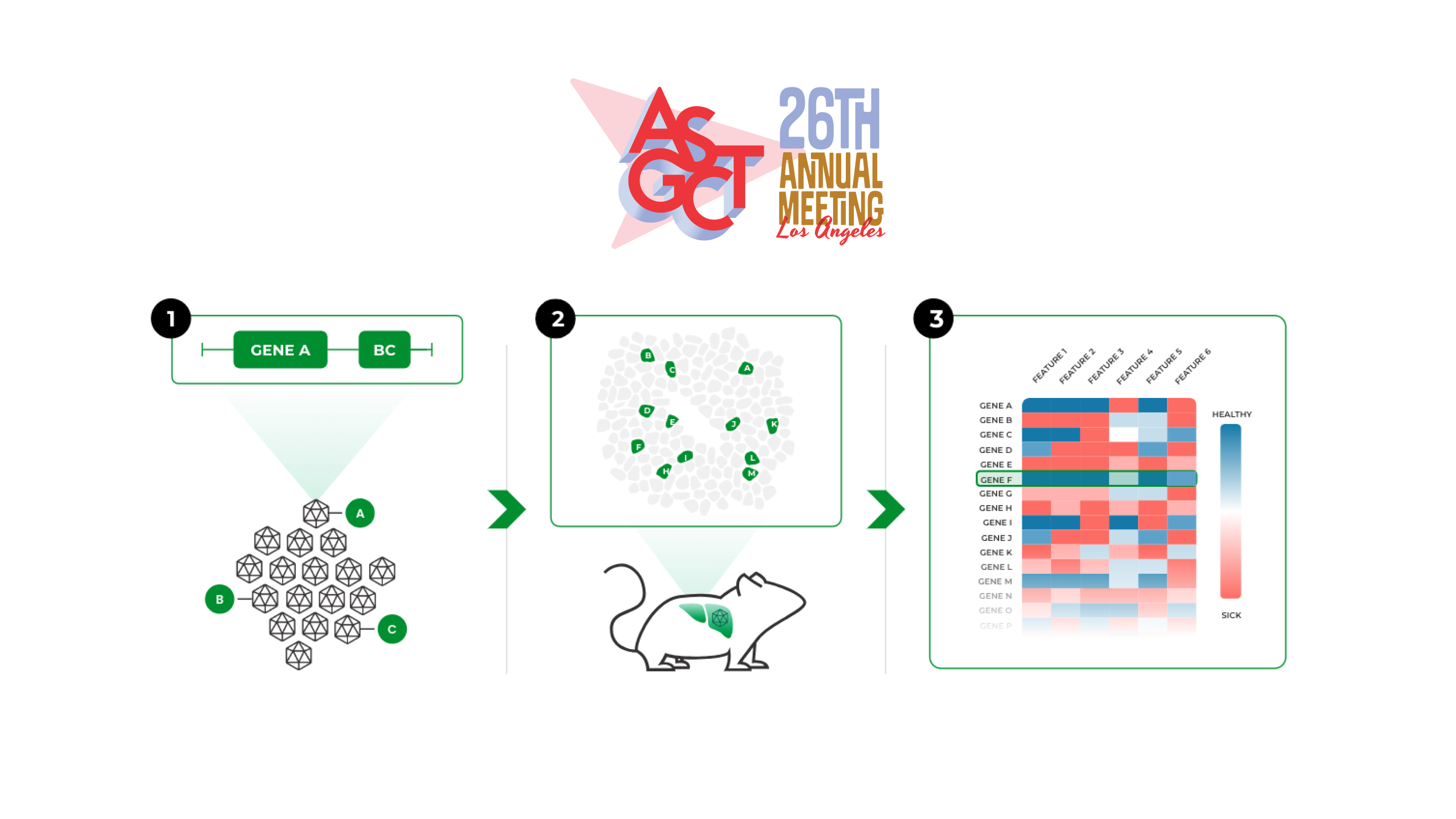 Gordian Biotechnology